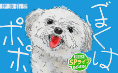 ぼくはポポ
